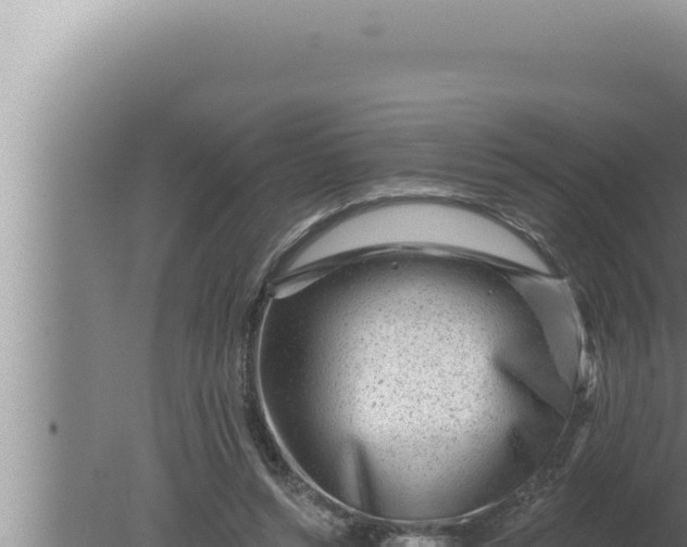 X0000080100352200612221744