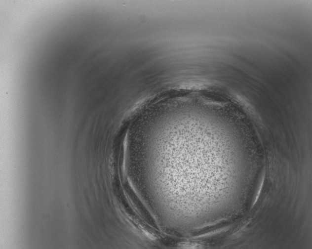 X0000080100354200612221744