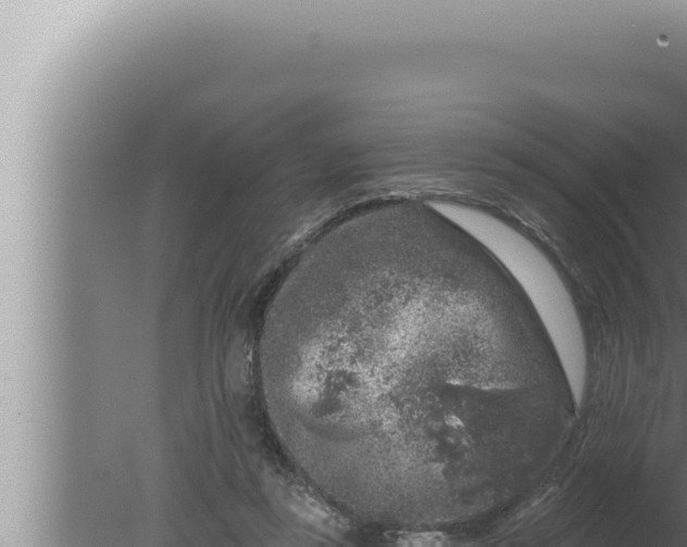 X0000080100355200612221744