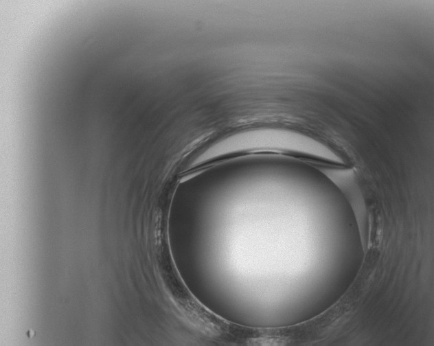 X0000080100356200612221744