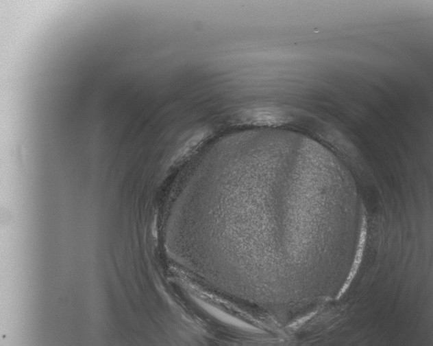 X0000080100358200612221745