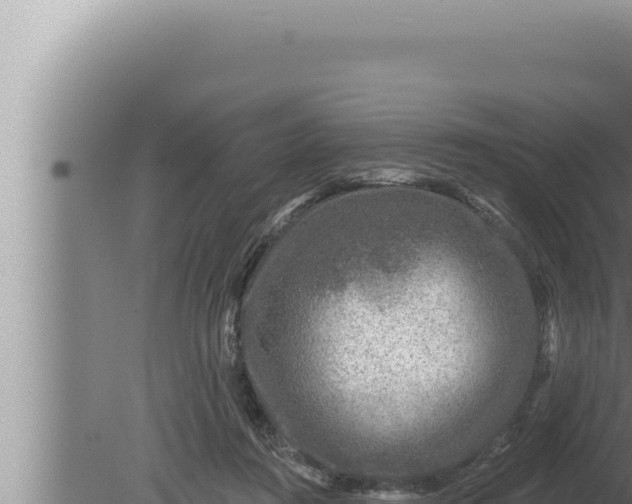 X0000080100360200612221745