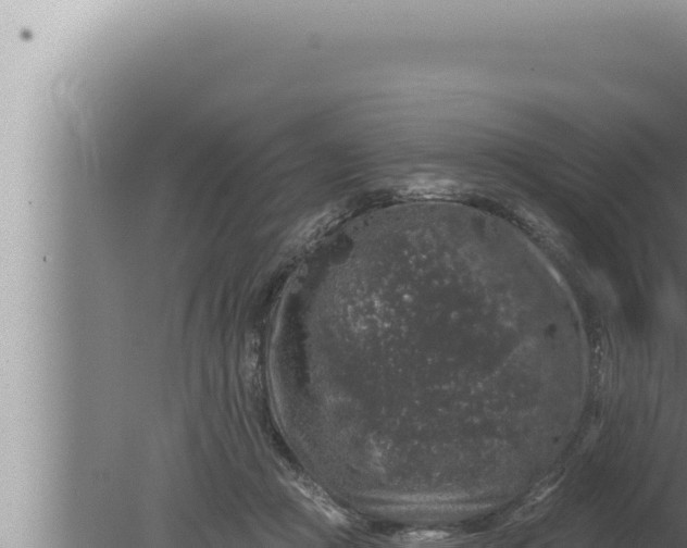 X0000080100361200612221745