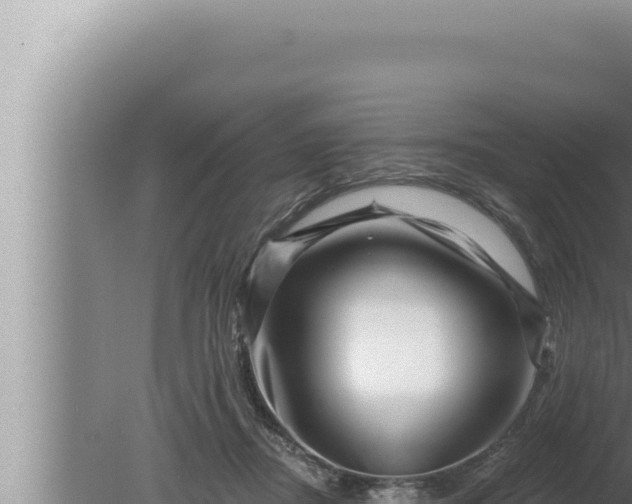 X0000080100362200612221745