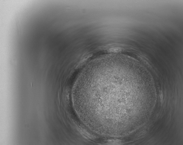 X0000080100363200612221745