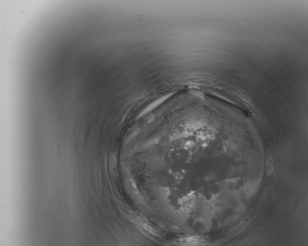 X0000080100365200612221745