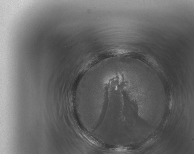 X0000080100366200612221745