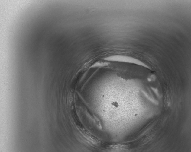 X0000080100367200612221745