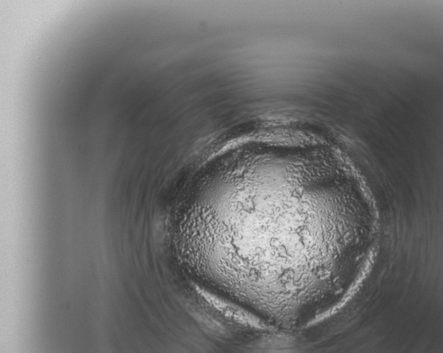 X0000080100369200612221745