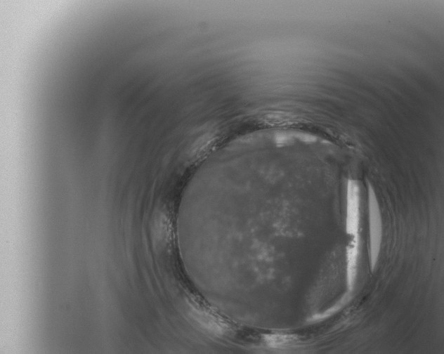 X0000080100371200612221745