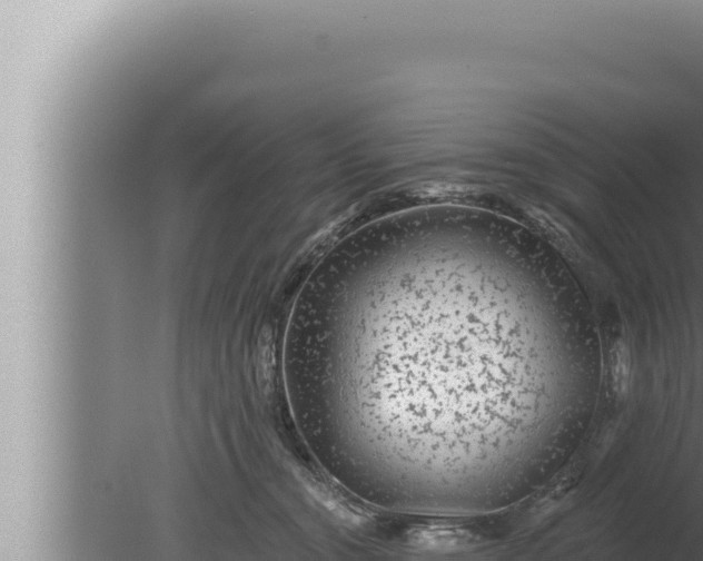 X0000080100372200612221745