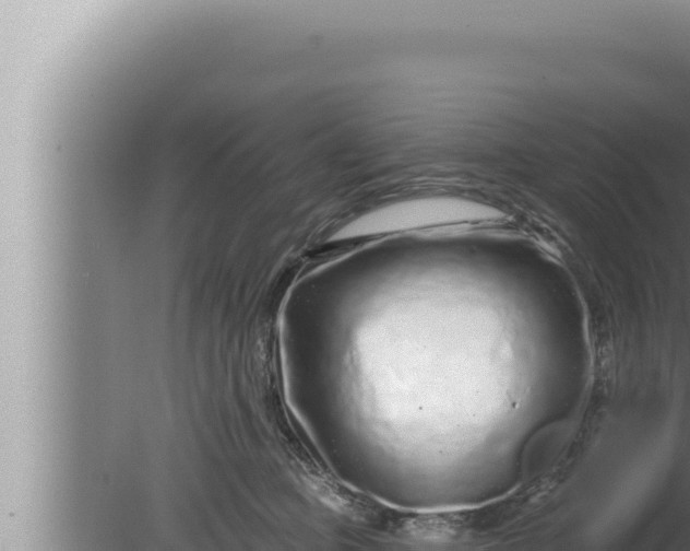 X0000080100373200612221745