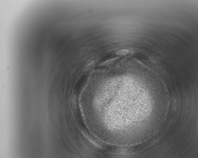 X0000080100375200612221745