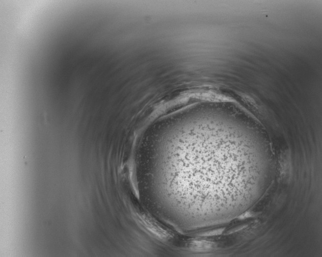 X0000080100376200612221745