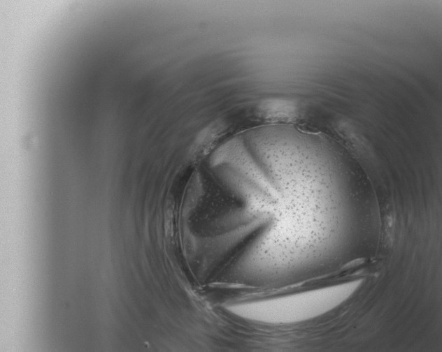 X0000080100379200612221745