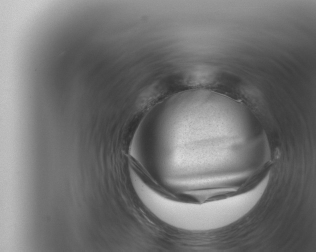 X0000080100380200612221745