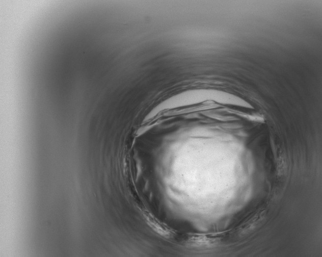 X0000080100381200612221745