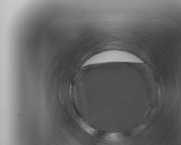 X0000080100382200612221745