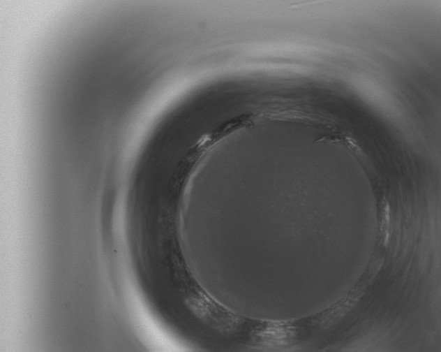 X0000080100383200612221745