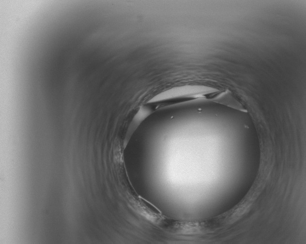 X0000080100384200612221745