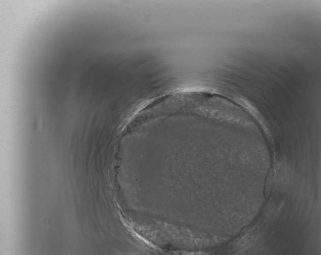 X0000080100385200612221744