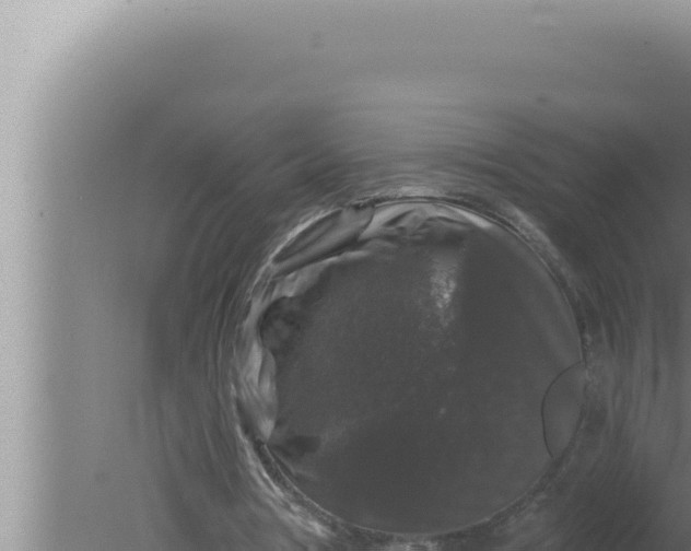 X0000080100386200612221744