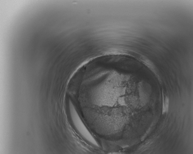 X0000080100387200612221744