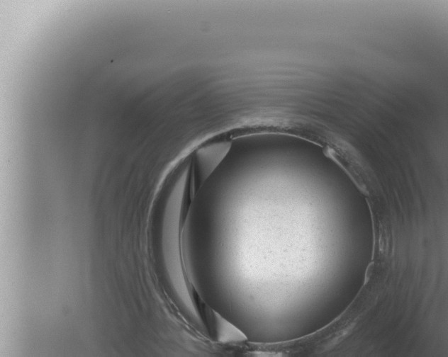 X0000080100388200612221744