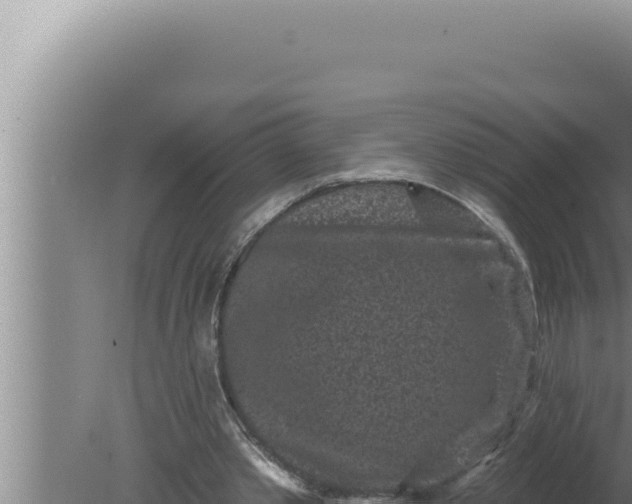 X0000080100389200612221744