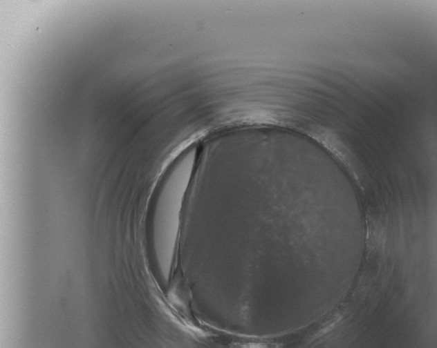 X0000080100390200612221744