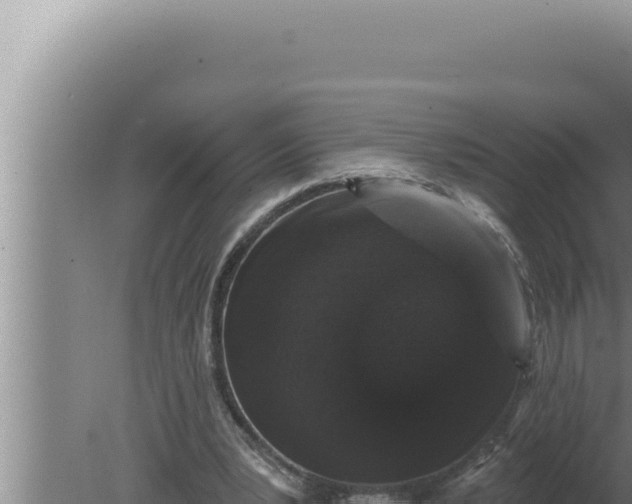 X0000080100391200612221744