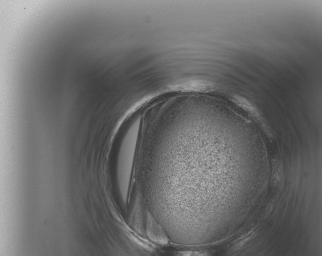 X0000080100392200612221744