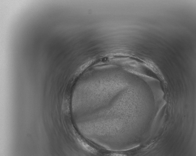 X0000080100393200612221744