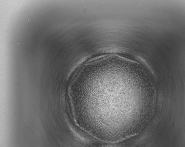 X0000080100394200612221744