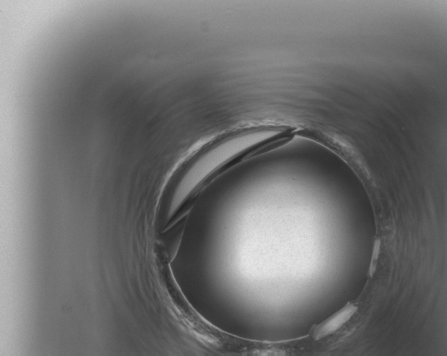 X0000080100395200612221744