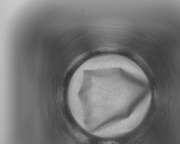 X0000080100396200612221744