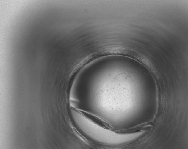 X0000080100397200612221744