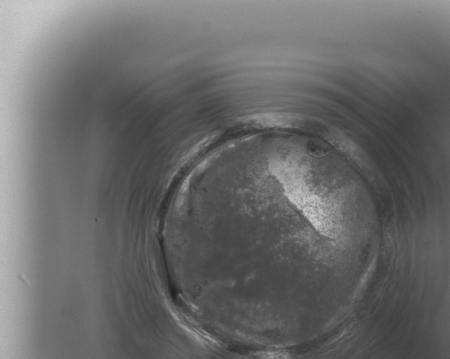 X0000080100398200612221744