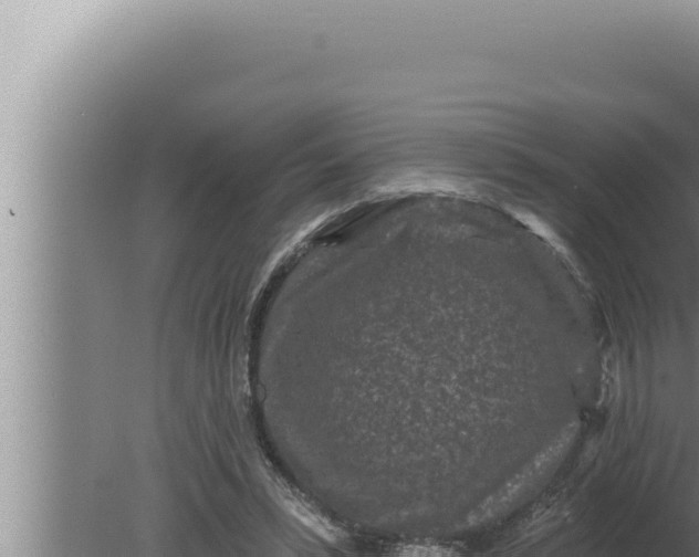 X0000080100399200612221744