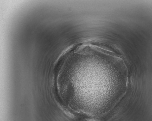 X0000080100400200612221744