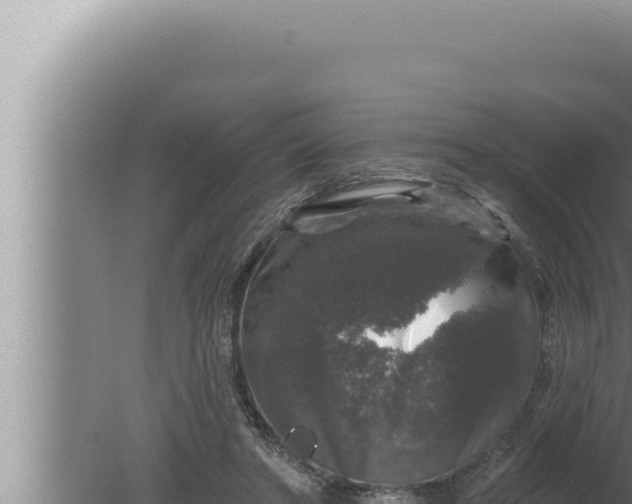 X0000080100402200612221744