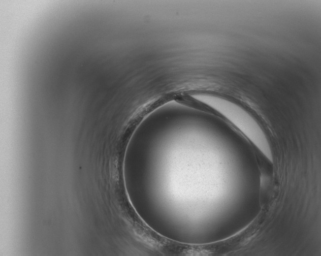 X0000080100403200612221744