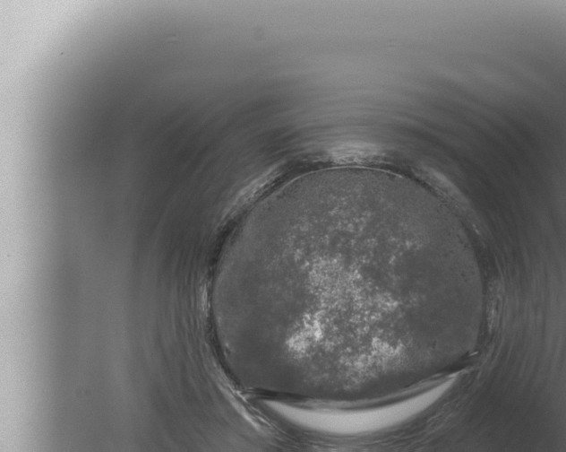 X0000080100405200612221744