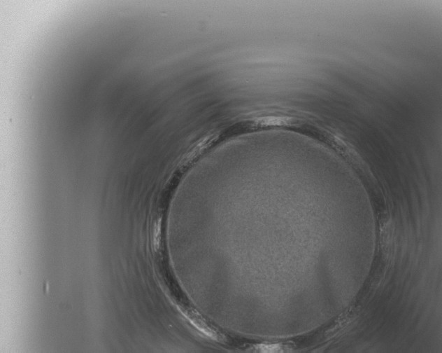 X0000080100406200612221744