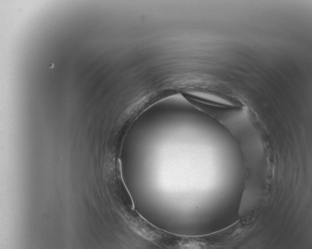 X0000080100407200612221744