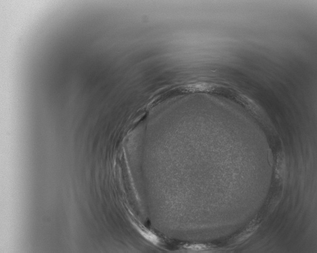 X0000080100409200612221744