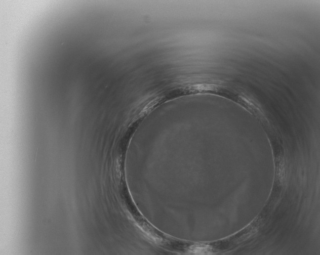 X0000080100410200612221744