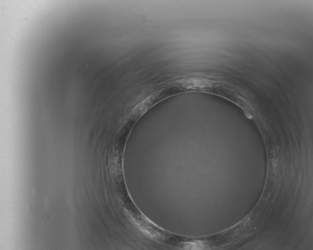 X0000080100411200612221744