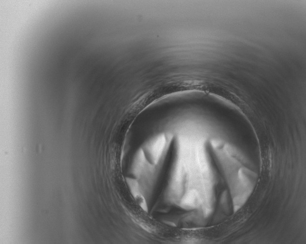 X0000080100412200612221744