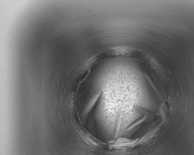 X0000080100413200612221744